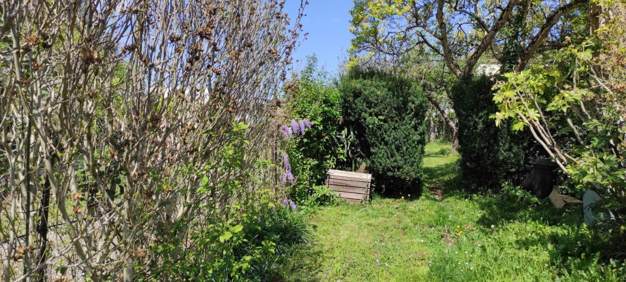 Maison Au Pied De La Montagne Aspet 外观 照片