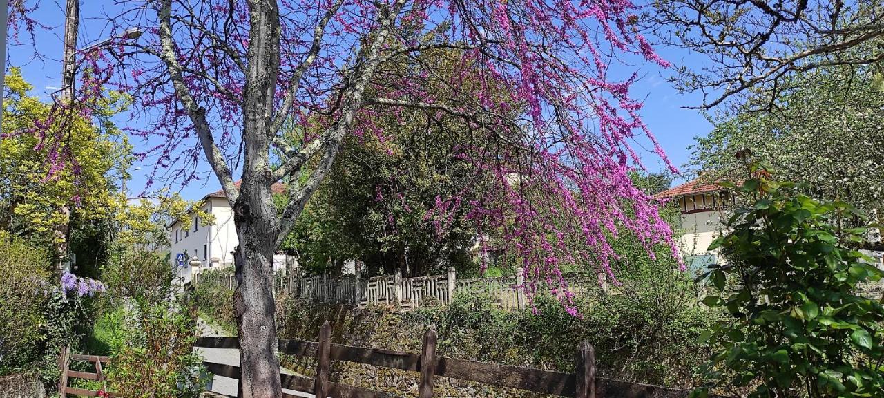 Maison Au Pied De La Montagne Aspet 外观 照片