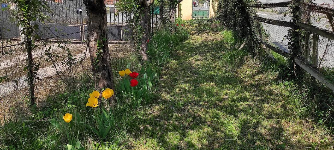 Maison Au Pied De La Montagne Aspet 外观 照片